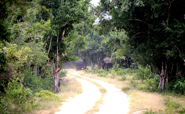Home Stay and Cultural Tours in Sri Lanka