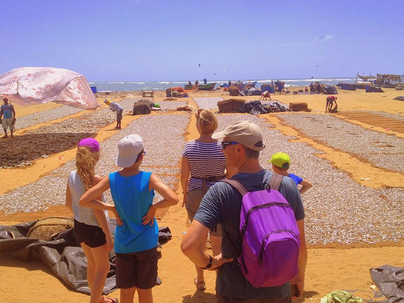 Negombo Cycling Tours in Sri Lanka