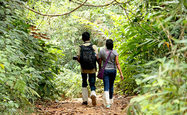 Sinharaja Trekking trip, Sinharaja trekking trip in Sri Lanka, Trekking tours in Sinharaja, Trekking trip in Sri Lanka, Trekking tour in Sinharaja forest Edge