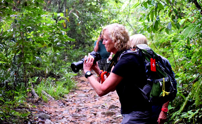 Sinharaja Trekking trip, Sinharaja trekking trip in Sri Lanka, Trekking tours in Sinharaja, Trekking trip in Sri Lanka, Trekking tour in Sinharaja forest Edge