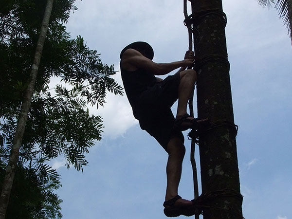 Trek through the country side and Trekking Trips in Sri Lanka - Scenic trekking tours in Sri Lanka - Trek through the Country Side and trekking tours - Trekking Trips in Sri Lanka - Sri Lanka trekking Trips - Trekking trips in Bentota - Bentota Trekking Trips - Village Walk in Sri Lanka
