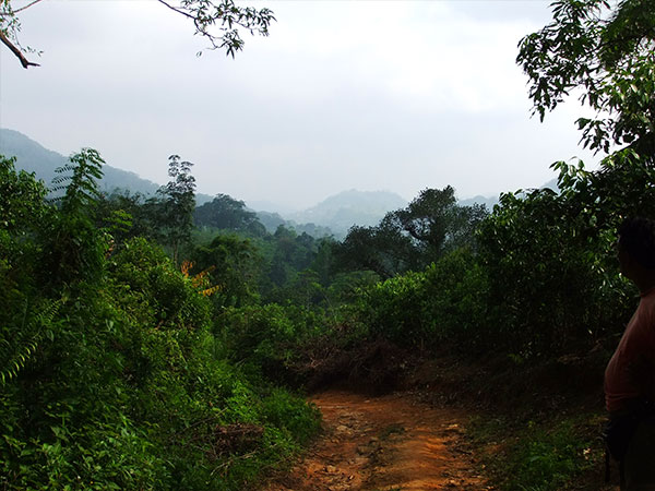 Trek through the country side and Trekking Trips in Sri Lanka - Scenic trekking tours in Sri Lanka - Trek through the Country Side and trekking tours - Trekking Trips in Sri Lanka - Sri Lanka trekking Trips - Trekking trips in Bentota - Bentota Trekking Trips - Village Walk in Sri Lanka