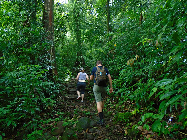 Trek through the country side and Trekking Trips in Sri Lanka - Scenic trekking tours in Sri Lanka - Trek through the Country Side and trekking tours - Trekking Trips in Sri Lanka - Sri Lanka trekking Trips - Trekking trips in Bentota - Bentota Trekking Trips - Village Walk in Sri Lanka